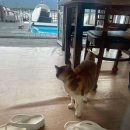 강화해미르바닷가스파오션뷰펜션 이미지