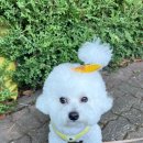 루이유치원 이미지