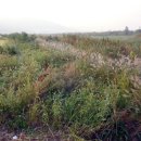 낙동강물문화관 이미지