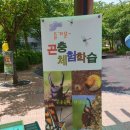 이수어린이공원 이미지