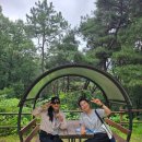 보국사 - 1148 | 대구 달성 옥연지 둘레길 & 송해공원과 사문진주막촌 2026.07.05