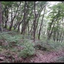 솔비공인중개사사무소 이미지