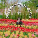 청오농장 | [평택] "농업생태원" 꽃나들이하고, 평택 국제 중앙시장까지