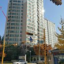 판교이화약국 이미지