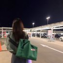 [공지] 세종 코스트코 후기 : 회원가입 방법 가족 카드 신청 + 쇼핑리스트 꿀팁