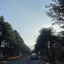 설악밸리 | 주말 강원도 고성 갈만한 곳 강원도 켄싱턴 설악밸리 숙소후기