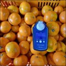 다미농장 이미지