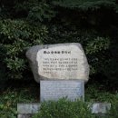 요산 김정한문학비 이미지