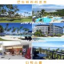 유엔아이여행사 이미지