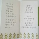 자연빛깔매듭