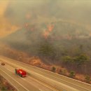 일직면행정복지센터 이미지