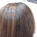 헤어1004미용실 이미지