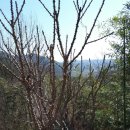 척과농장 이미지