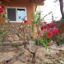 산마루황토 이미지