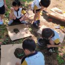 실내초병설유치원 이미지