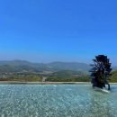 성주산 자연휴양림 대형주차장 | 예당호 출렁다리 모노레일, 갱스커피, 성주산자연휴양림, 원산도 카페 바이더오, 대천스카이바이크...