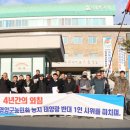 삼호태양광발전소 이미지