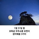달 Daum카페