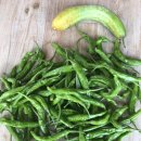 수선농장 이미지