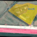 양대초등학교 이미지