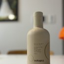 올리브코리아 | 올리브오일 효능 알고 공복 루틴까지 바뀐 솔직 후기