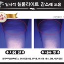 페이스앤바디 네이버블로그