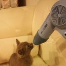 (주)비유티플 네이버블로그