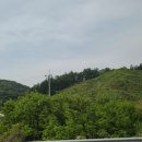 (주)나무대통령 이미지