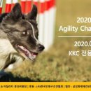 2020 KKC 어질리티 챔피언십 (Agility Championship) 이미지