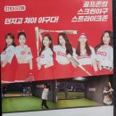 스트라이크존 화성봉담구장