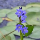 Re: 가을에 아름다운 것들 / 정유찬 이미지