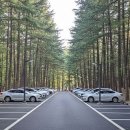 조성5일시장 이미지