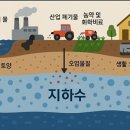 김영철 손세차장 네이버블로그