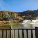 갈릴리펜션 | [강화도] 가볼 만한 곳! 강화 루지타고 갈릴리펜션 후기