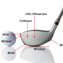 출똥 ~﻿골프클럽 분석 용어 설명 이미지