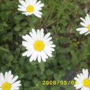 국환농장 이미지