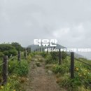 안성면100 | [100대명산] 여름 덕유산 우중산행 후기 7월 현재 야생화는 절정 (안성 ~ 향적봉 ~ 백련사 코스)