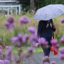 광장18호 이미지