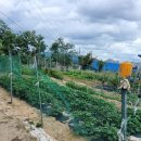 구암동397 이미지