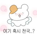 삼겹살에소주한잔호로록