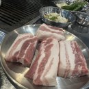 뻔한고기