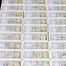 메고지고 이미지