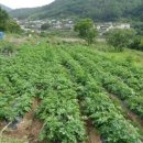 예곡농장 이미지