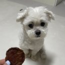 멍스하우스 이미지