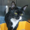 겨울이와여름이 이미지