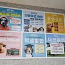 스포독 | 부산 애견동반카페 / 부산 애견운동장 / 루프탑 카페 스포독 방문후기 / 주차장⭕️