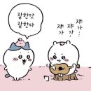 살랑더테일 | 히카루가 죽은 여름 팝업 스토어 후기 (너무감사하시다진짜…)