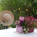 회령 옷 이미지