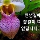 9월 아침인사 모음 이미지