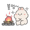 함평군 돌머리캠핑장 이미지